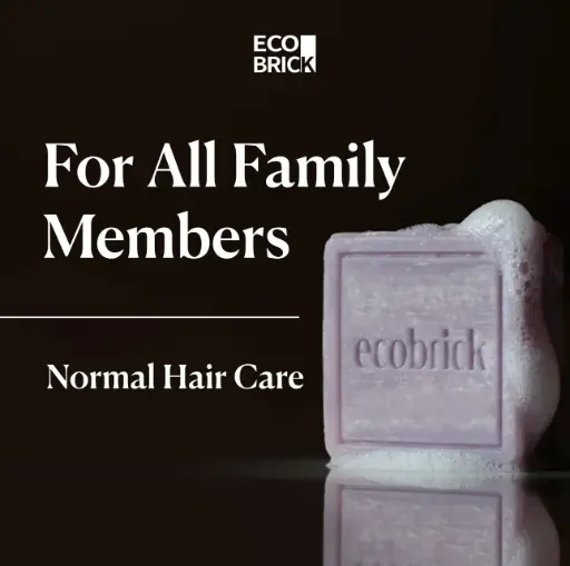ECOBRICK MILD ACIDIC SHAMPOO BAR - NORMAL HAIR CARE